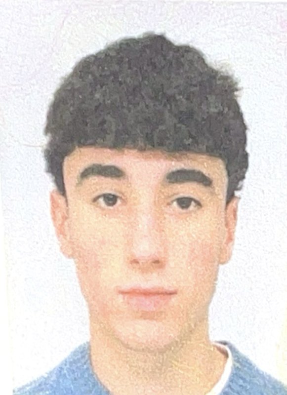 ALEIX VERGARA CARRION