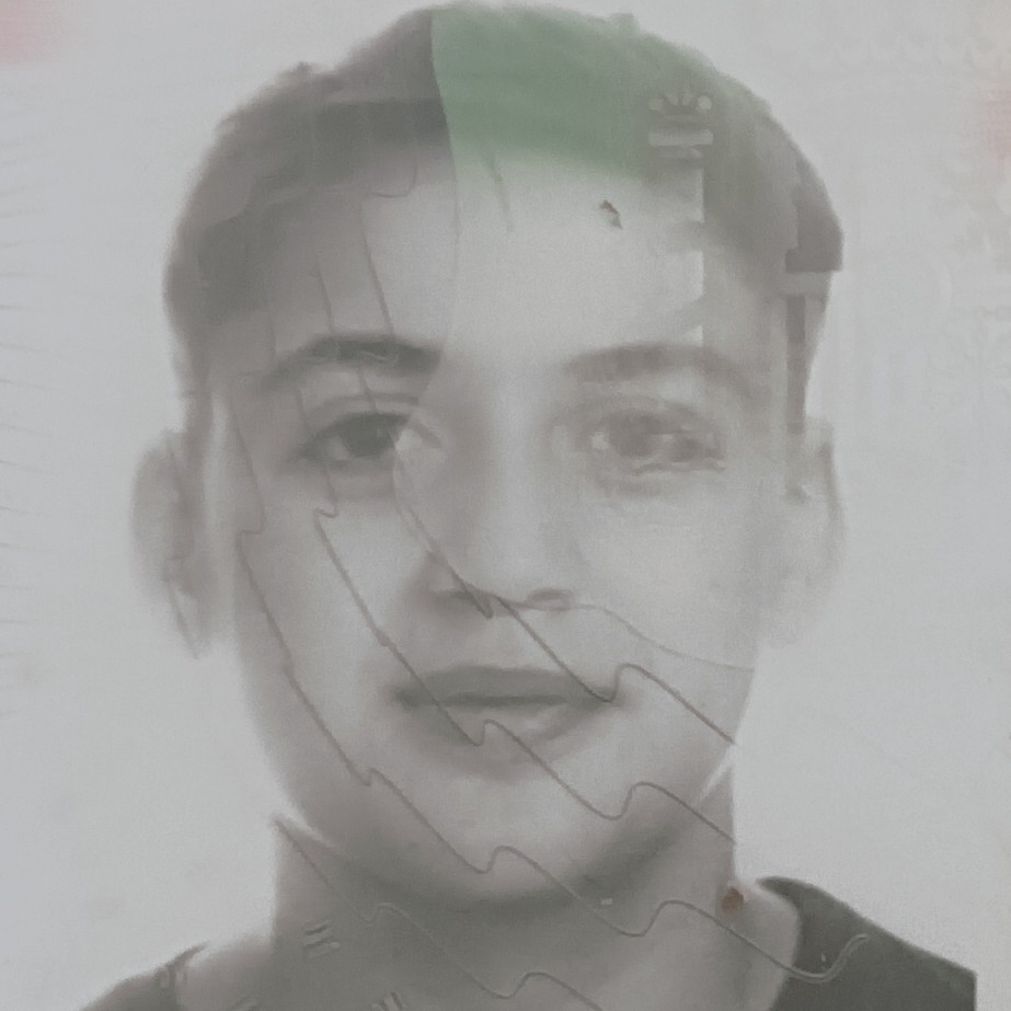 RAUL MARTINEZ ESTEBAN