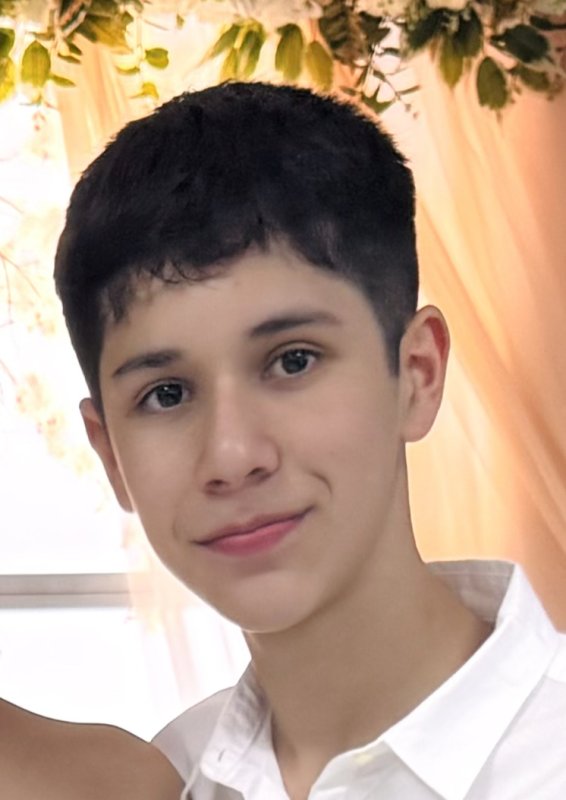 JULIAN CAMILO VARGAS LLERENA