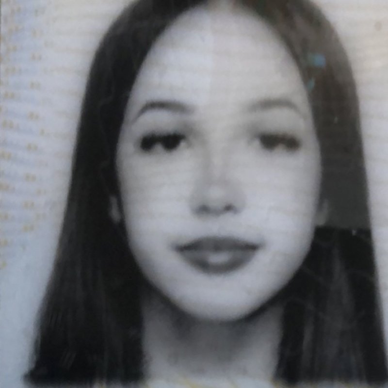 MARIA CLARA PRIEGO FERREIRA