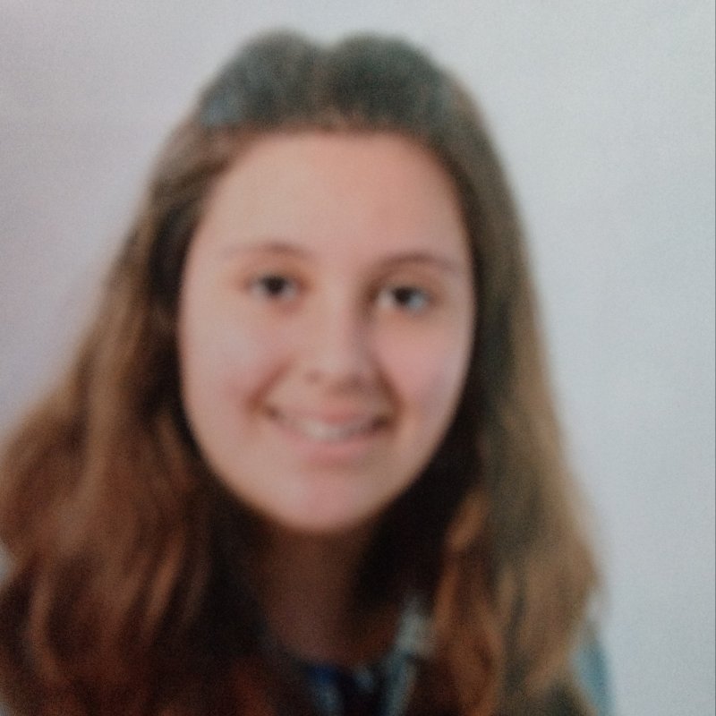 LEIRE TEMES VISO