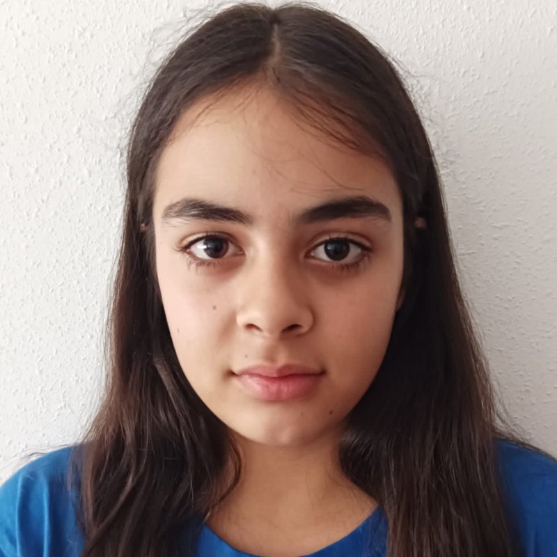 YUMI BRICEÑO MENDES