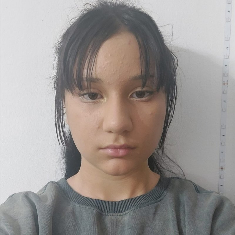 IRENE ELENA PENES PORCICA