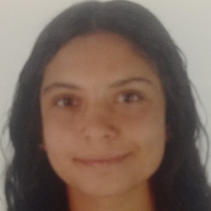 MARIA  SANTOS FERNANDEZ