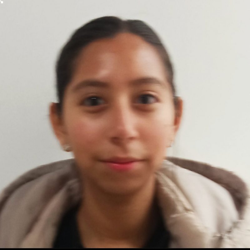 ANGELI DAYANNA FLORES CESPEDES