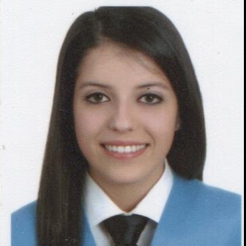 IRENE ALVITE SOUTO