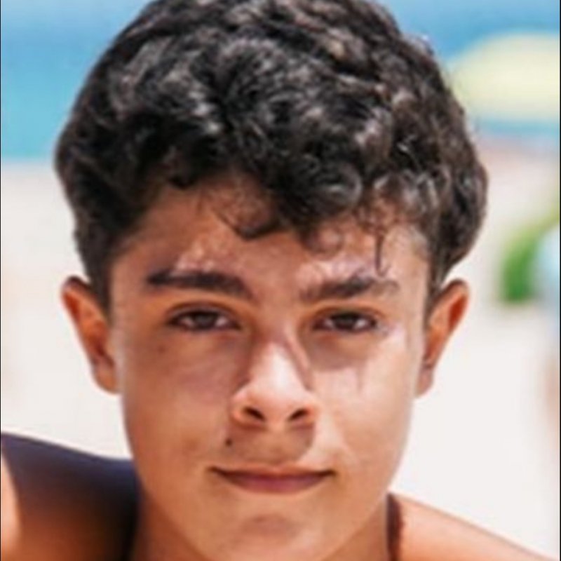 MANUEL VERDES SANCHEZ 