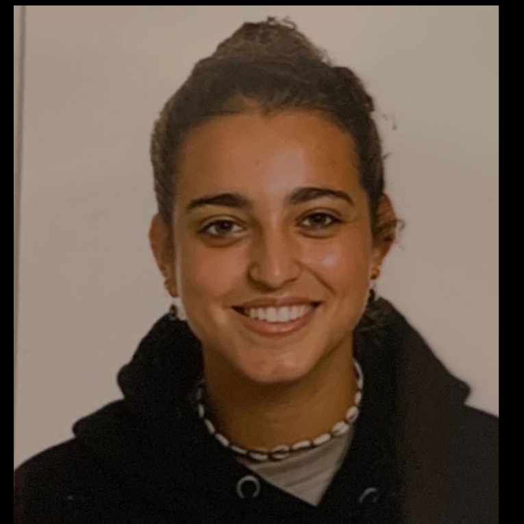 INDIRA SALGUEIRO MARTINEZ 