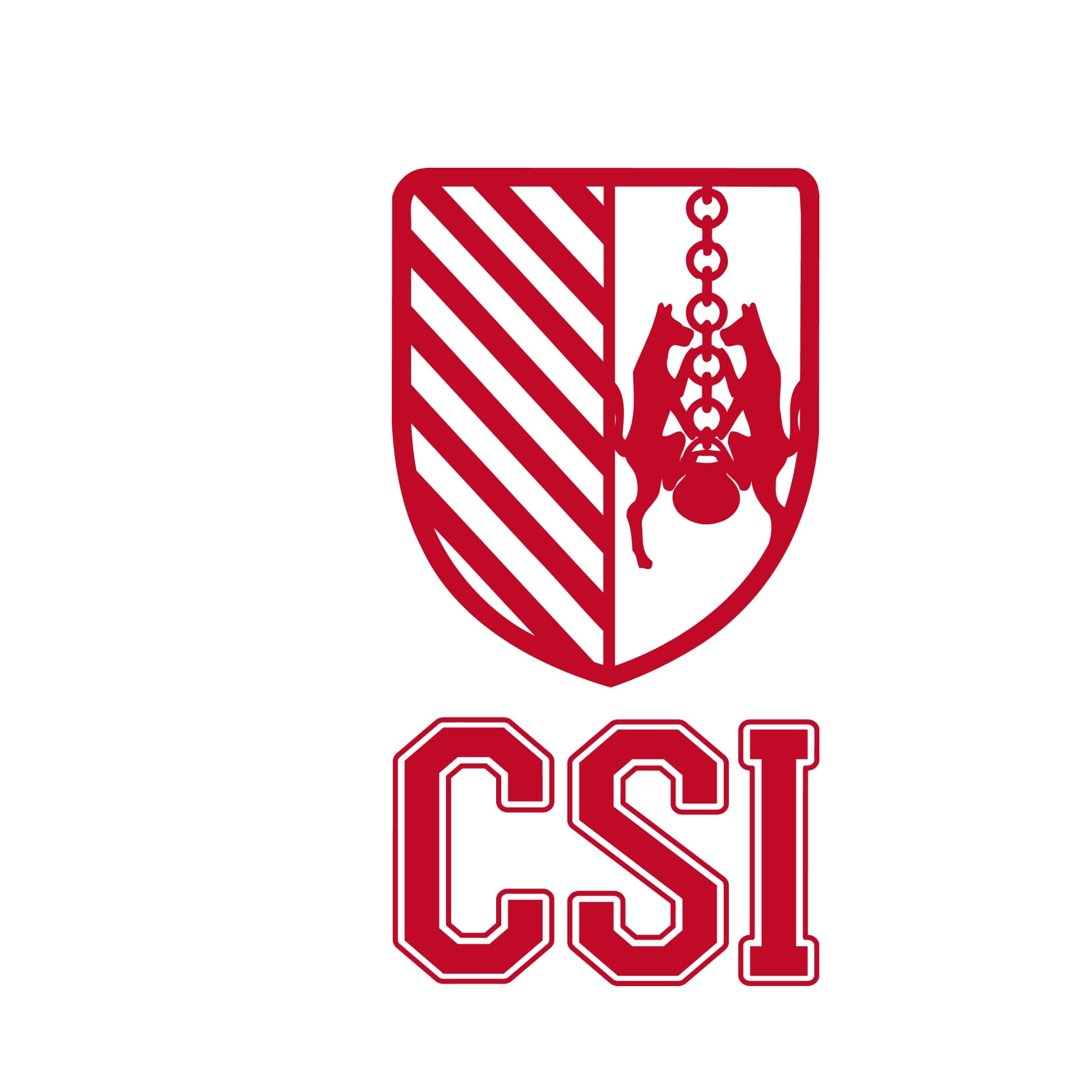 CLUB ESPORTIU SANT IGNASI