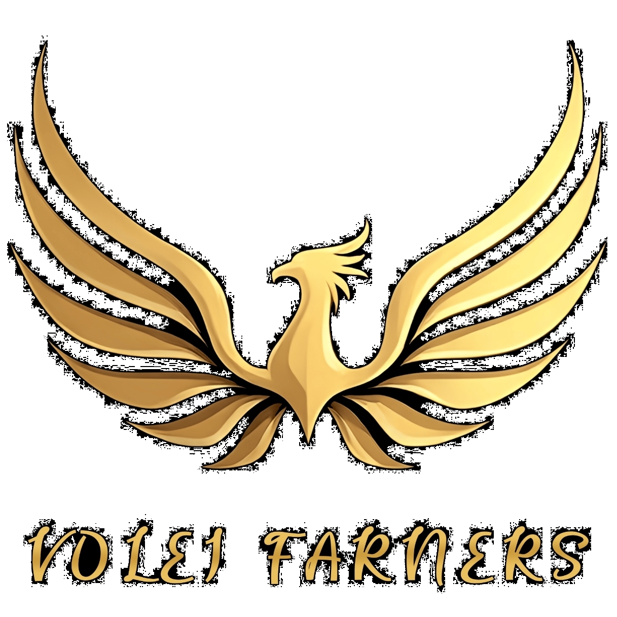 VOLEI FARNERS