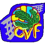CLUB VOLEIBOL FIGUERES
