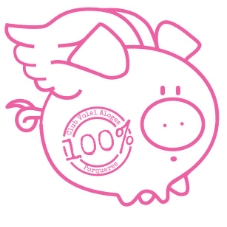 CLUB VOLEI ALOGES PORQUERES