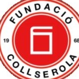FUNDACIO PRIVADA COLLSEROLA