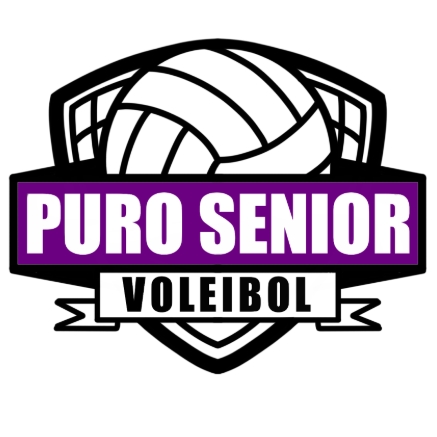 PSVOLEIBOL